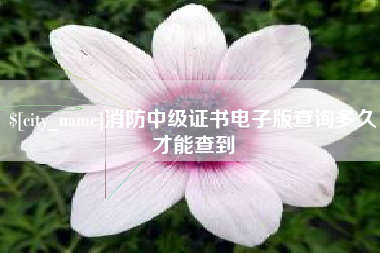 吴忠消防中级证书电子版查询多久才能查到