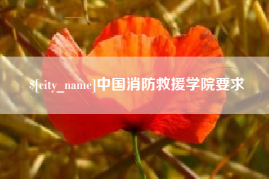 吴忠中国消防救援学院要求