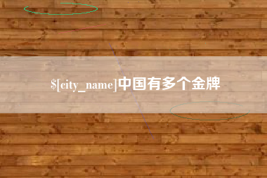 吴忠中国有多个金牌