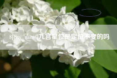 吴忠九宫星位是定位不变的吗