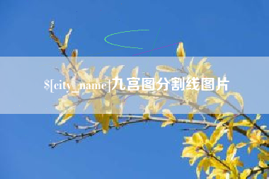 吴忠九宫图分割线图片