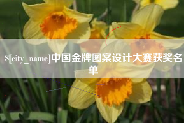 吴忠中国金牌图案设计大赛获奖名单