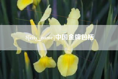 吴忠中国金牌包括
