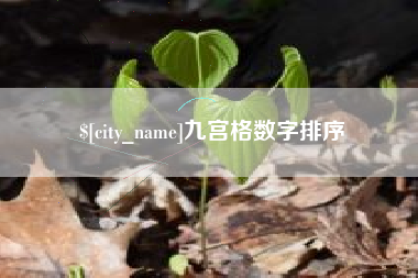 吴忠九宫格数字排序