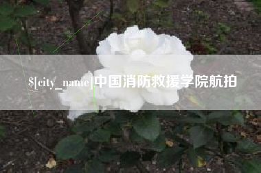 吴忠中国消防救援学院航拍