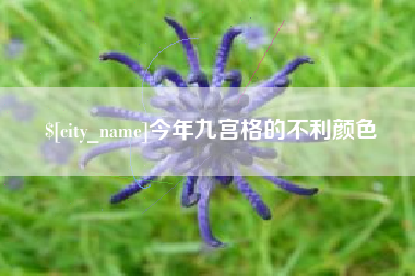吴忠今年九宫格的不利颜色