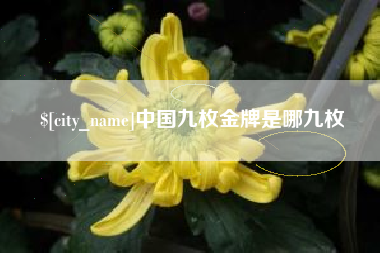 吴忠中国九枚金牌是哪九枚