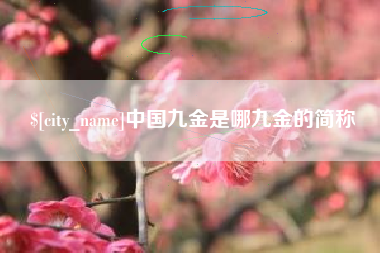 吴忠中国九金是哪九金的简称