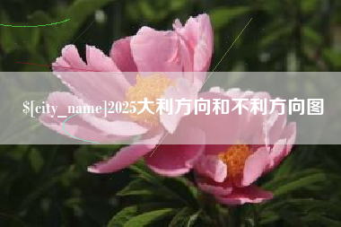 吴忠2025大利方向和不利方向图