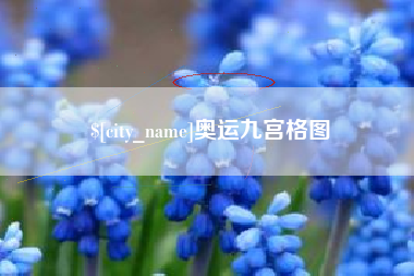 吴忠奥运九宫格图