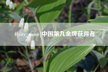 吴忠中国第九金牌获得者