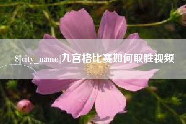 吴忠九宫格比赛如何取胜视频