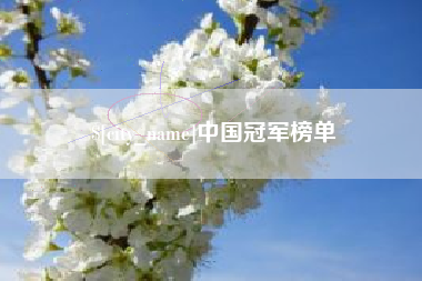 吴忠中国冠军榜单