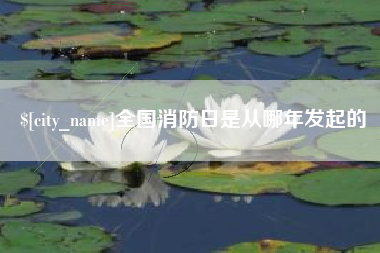 吴忠全国消防日是从哪年发起的