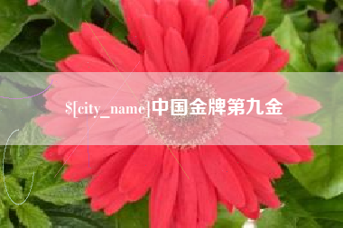 吴忠中国金牌第九金