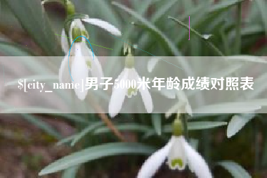 吴忠男子5000米年龄成绩对照表