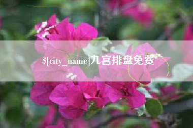 吴忠九宫排盘免费