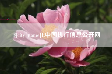 吴忠1.中国执行信息公开网