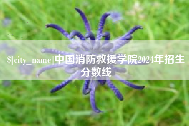 吴忠中国消防救援学院2024年招生分数线