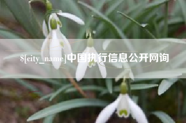 吴忠中国执行信息公开网询