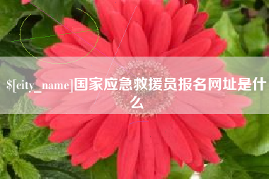 吴忠国家应急救援员报名网址是什么