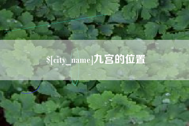 吴忠九宫的位置