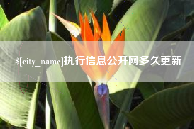 吴忠执行信息公开网多久更新