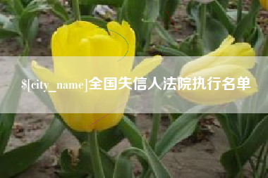 吴忠全国失信人法院执行名单