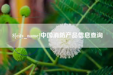 吴忠中国消防产品信息查询