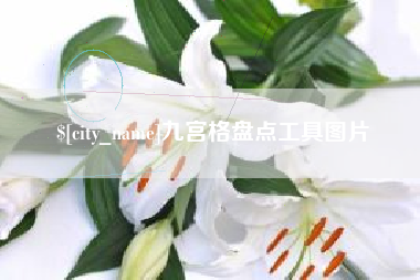 吴忠九宫格盘点工具图片