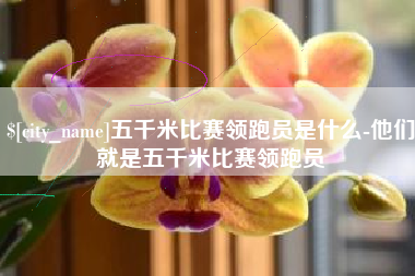 吴忠五千米比赛领跑员是什么-他们就是五千米比赛领跑员