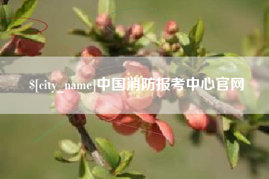 吴忠中国消防报考中心官网