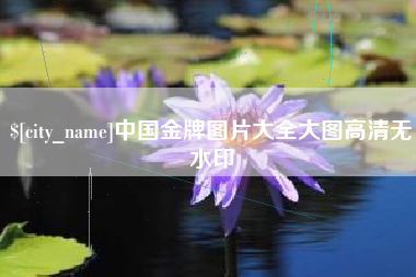 吴忠中国金牌图片大全大图高清无水印