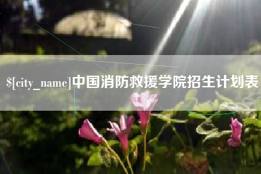 吴忠中国消防救援学院招生计划表