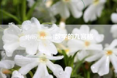 吴忠数字的九宫格