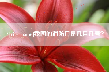 吴忠我国的消防日是几月几号？