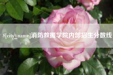 吴忠消防救援学院内部招生分数线