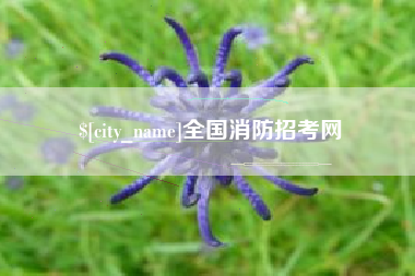 吴忠全国消防招考网