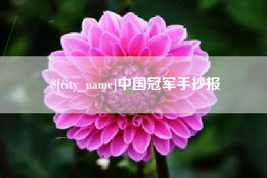 吴忠中国冠军手抄报