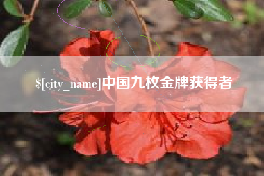 吴忠中国九枚金牌获得者