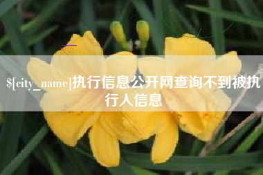 吴忠执行信息公开网查询不到被执行人信息