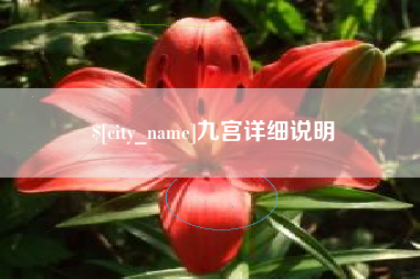 吴忠九宫详细说明