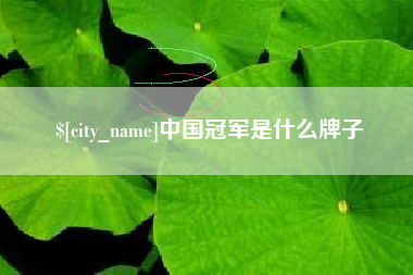 吴忠中国冠军是什么牌子