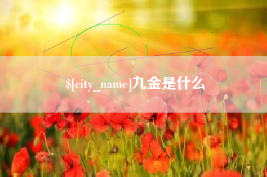 吴忠九金是什么
