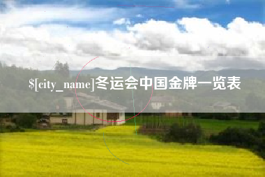 吴忠冬运会中国金牌一览表