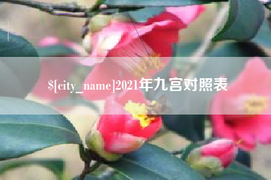 吴忠2021年九宫对照表