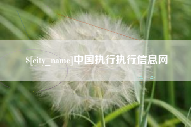 吴忠中国执行执行信息网