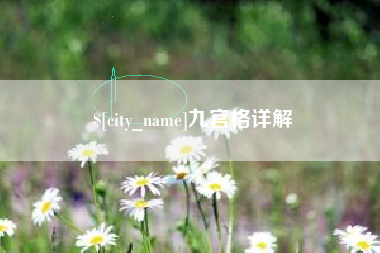 吴忠九宫格详解