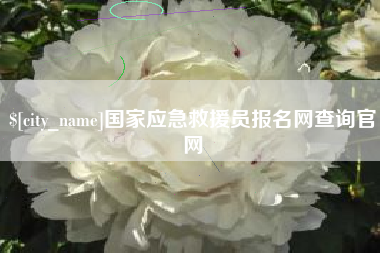 吴忠国家应急救援员报名网查询官网