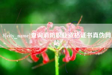 吴忠查询消防职业资格证书真伪网站